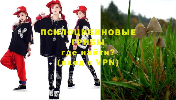 apvp Дмитровск